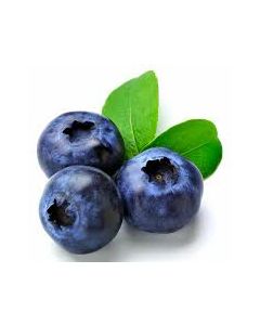 24 Blueberry Balsamic 100 ml