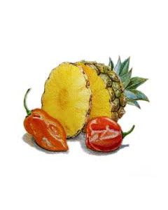 24 Habanero Pineapple Balsamic 100 ml